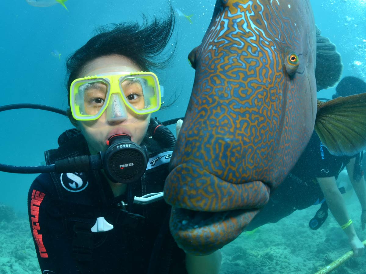 Scuba intro dive